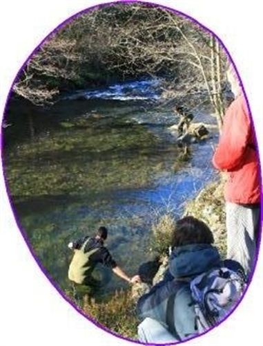 El Proyecto Ríos organiza tres salidas formativas en el Saja y el Miera