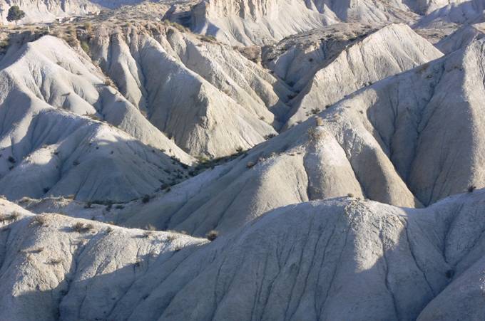 Ciencias naturales vs Mar Cano