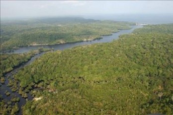 El Pantanal brasileño encabeza campaña para salvar al gran felino americano