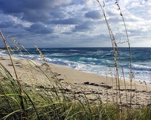 IUSC. Master E-Learning en Gestión Sostenible de los Sistemas Costeros y Marinos