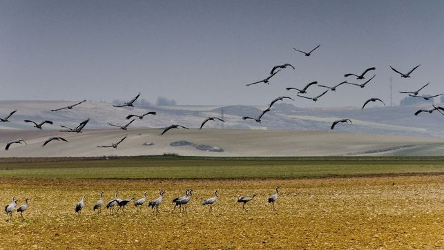 Luz  verde a la ampliación de la Laguna del Hito