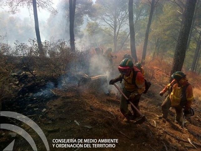 Malaga. IU y PSOE critican a De la Torre y piden que se deje trabajar a los profesionales en extinción de incendios