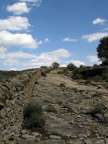 Medio Ambiente recupera durante 2009 cerca de 880 kilómetros de vías pecuarias en toda Andalucía