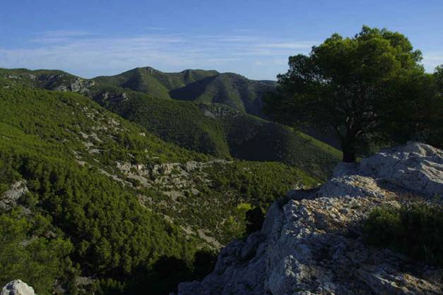 Colaboran en la difusión de los parques naturales de Castellón