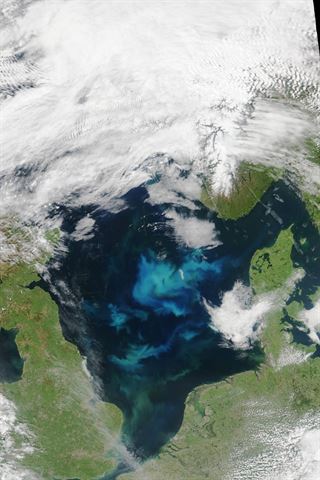 El satélite Aqua nos muestra las floraciones de fitoplancton en el Mar del Norte