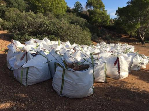 Retiran 10 toneladas de escombros del Parque Natural de sa Dragonera