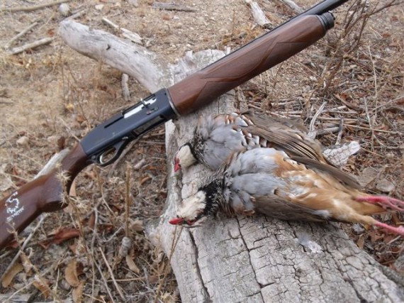 La próxima ‘Ley de Caza’ fomenta la caza intensiva