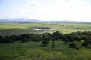 Costa Rica emite política pública para proteger humedales