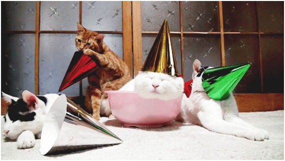 10 animales súper longevos + 1 inmortal