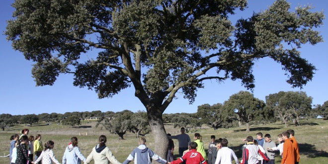 Expertos de todo el planeta analizan en Madrid la educación ambiental como motor del cambio social