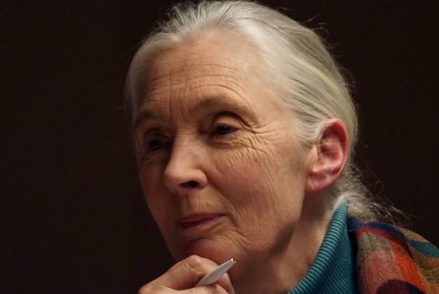 Premio Internacional de los parlamentarios animalistas para Jane Goodall