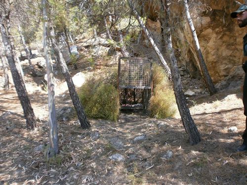 GREA instala una cámara junto a la jaula con cebo para ayudar a capturar al felino negro avistado en Castala