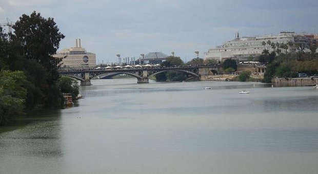 WWF pide poner en marcha un plan de restauración del Guadalquivir y ‘olvidarse’ del dragado
