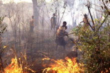 Incendios provocados. Se revisará la ley de jurados que ‘siempre’ absuelve a los pirómanos
