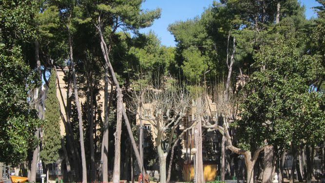 Huesca organiza visitas guiadas gratuitas para escolares a los espacios verdes