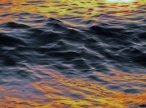 Los cachalotes ayudan contra el calentamiento global