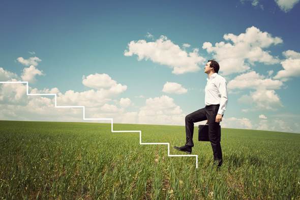 Negocios Ambientales