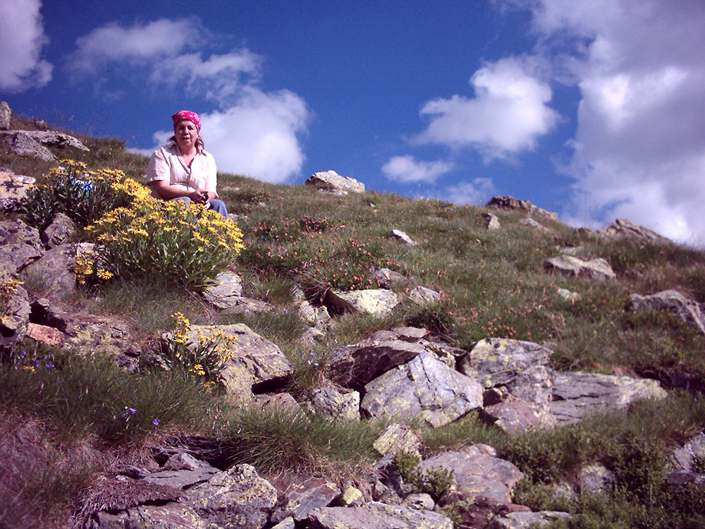 Los remedios del Pirineo