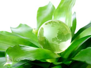 Unsustainable urban life: Whats next