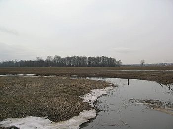 Estrategia para la preservación de la biodiversidad urbana en Helsinki (Finlandia)