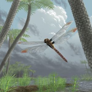 El reino de los insectos gigantes