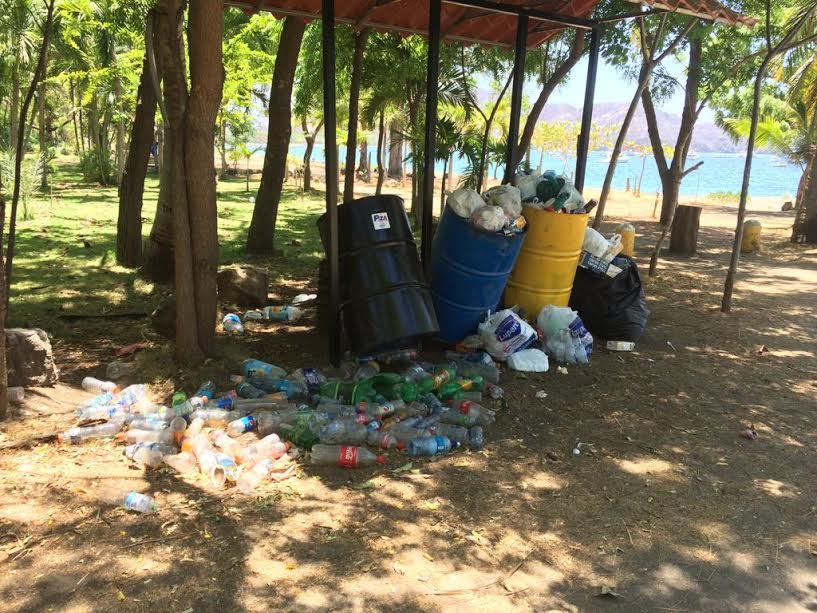 450 voluntarios se unen a la jornada de limpieza en playa Guacalillo