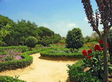 Ayuntamiento y Seo ponen en marcha una campaña para aumentar la biodiversidad de los jardines particulares