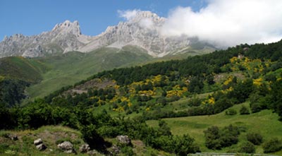 El Ayuntamiento de Urduliz regenerará las laderas de Santa Marina