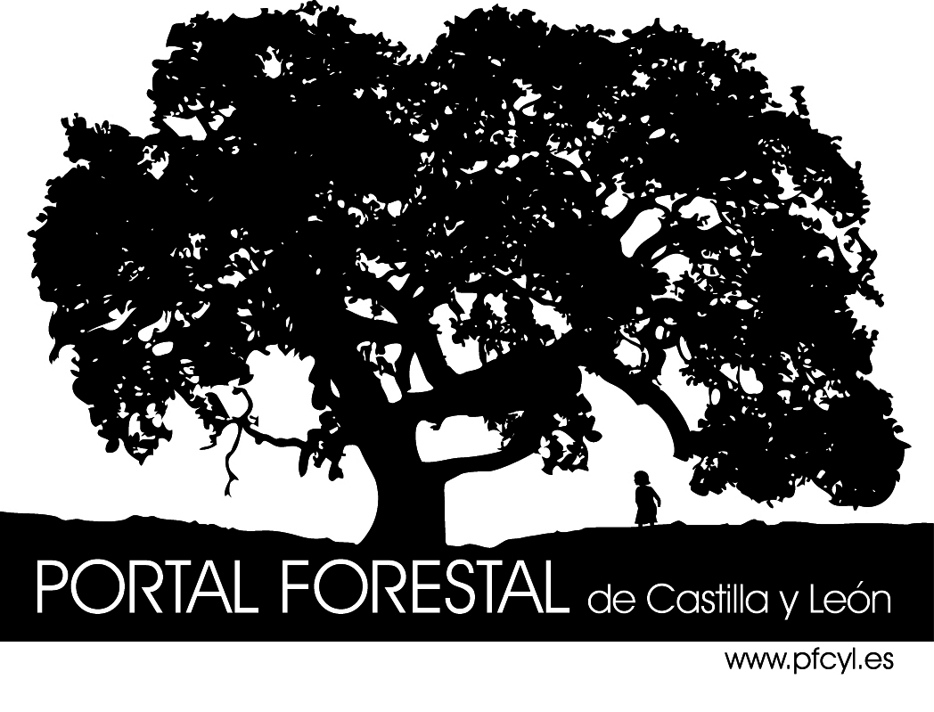 Presentamos el PORTAL FORESTAL de Castilla y León