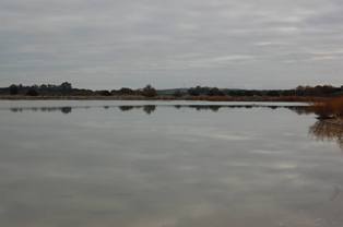 Conoce el estado de los humedales de Jerez de La Frontera