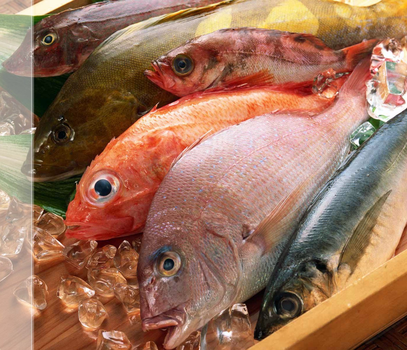 Oceana pide la eliminación urgente del uso de mercurio en las plantas de Cloro-Álcali para reducir la contaminación del pescado