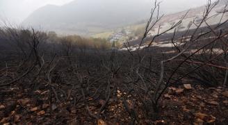 Fiscalía pide a Seprona y SEPA la relación de incendios que están investigando