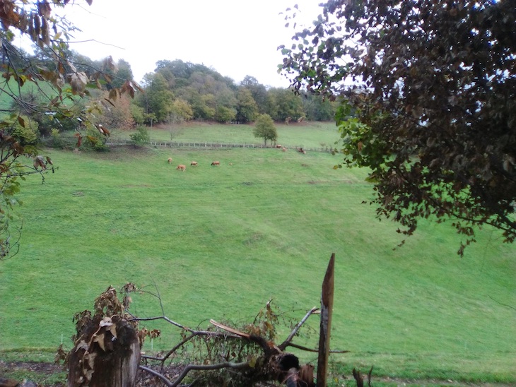 Sí a la subestación de Laviana