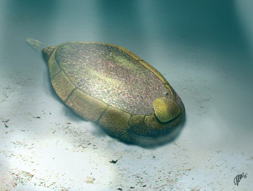 Protocinctus mansillaensis y sus trucos para comer