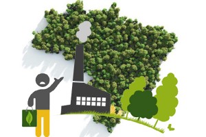 Brasil asume necesidad de brindar mayor financiamiento a las empresas para compensar sus emisiones