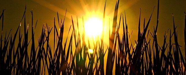 Alarma entre los científicos por proyectos ‘arriesgados’ para eliminar CO2