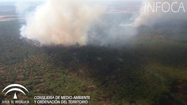 Declarado un incendio en el paraje natural de Dehesa Boyal de Villamanrique (Sevilla)