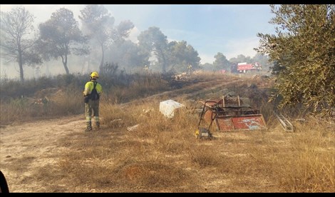 El PSOE quiere que el Gobierno detalle el miércoles al Congreso sus medidas para evitar incendios forestales