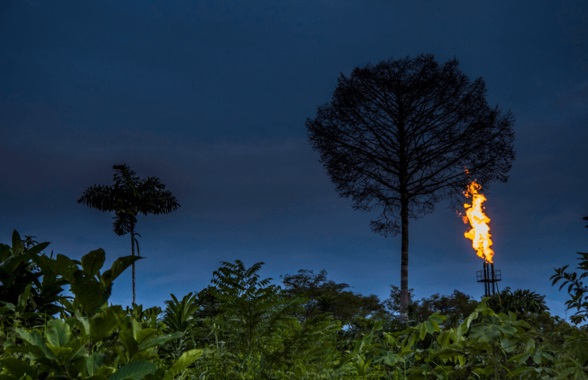 El petróleo ‘pisotea’ la biodiversidad del Amazonas