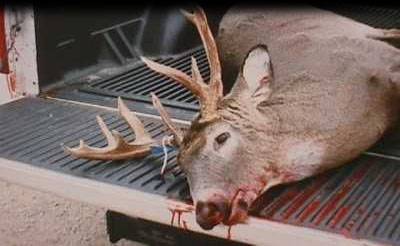 Caza en los Parques Nacionales