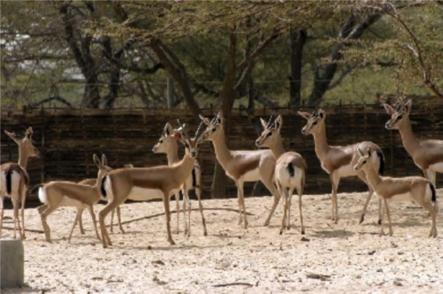 España está satisfecha con el grado de cumplimiento de la normativa por parte de los zoológicos