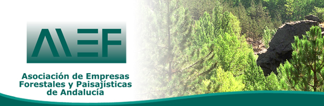 Las empresas forestales andaluzas generarán unos 165.000 jornales con las obras del Plan de Choque