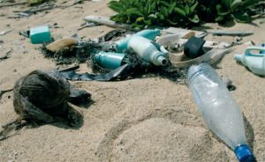 Costa Rica. Prohibición de plástico de un solo uso