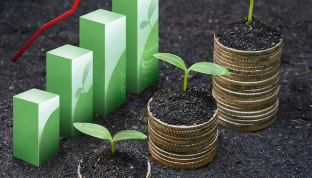 Máster en economía sostenible