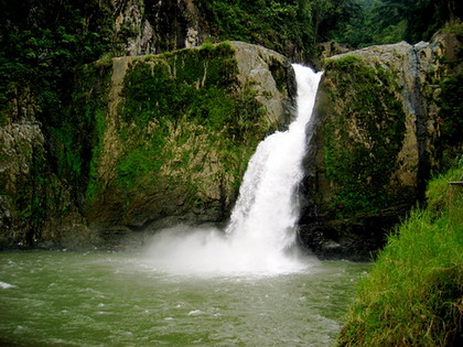 Ecowildlife Travel entra a formar parte de la Sociedad Internacional de Ecoturismo