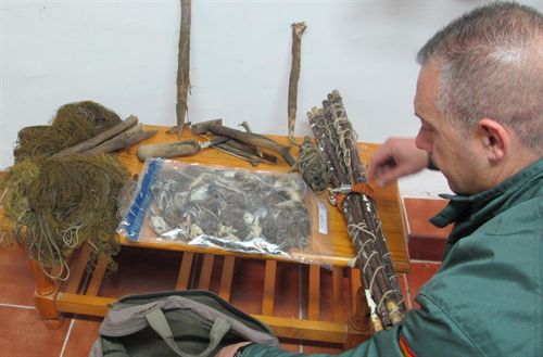 Dos detenidos en Utrera (Sevilla) por cazar con redes 159 aves