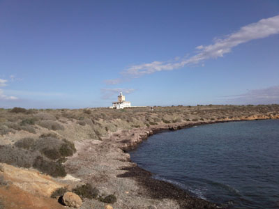 El acuario de la plaza Nueva como centro de interpretación de la isla de Tabarca