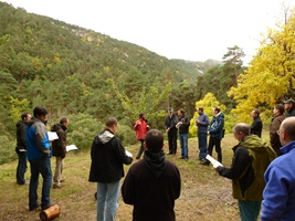 Cataluña. Científicos europeos se reúnen en Poblet para analizar cómo adaptar los bosques mediterráneos