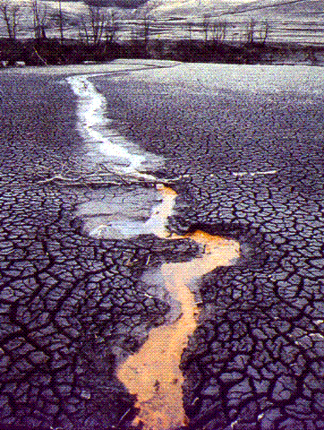 Es inadmisible que este nuevo encuentro mundial haya fracasado