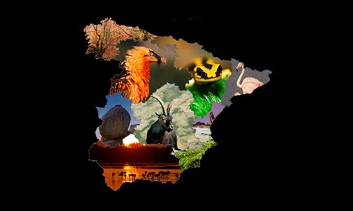 España es un ‘desastre’ en la conservación de la biodiversidad